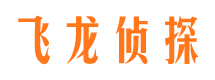 汇川市侦探调查公司